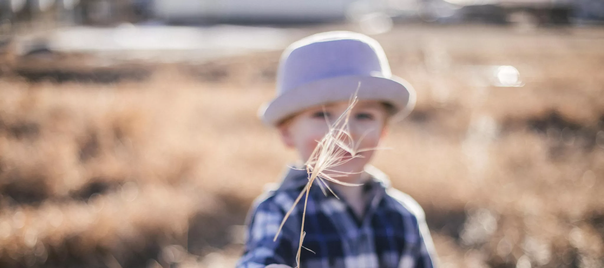 Photo by <a href="https://unsplash.com/@priscilladupreez?utm_source=unsplash&utm_medium=referral&utm_content=creditCopyText">Priscilla Du Preez</a> on <a href="https://unsplash.com/collections/fDH1St8Rtt8/neurodev?utm_source=unsplash&utm_medium=referral&utm_content=creditCopyText">Unsplash</a> 