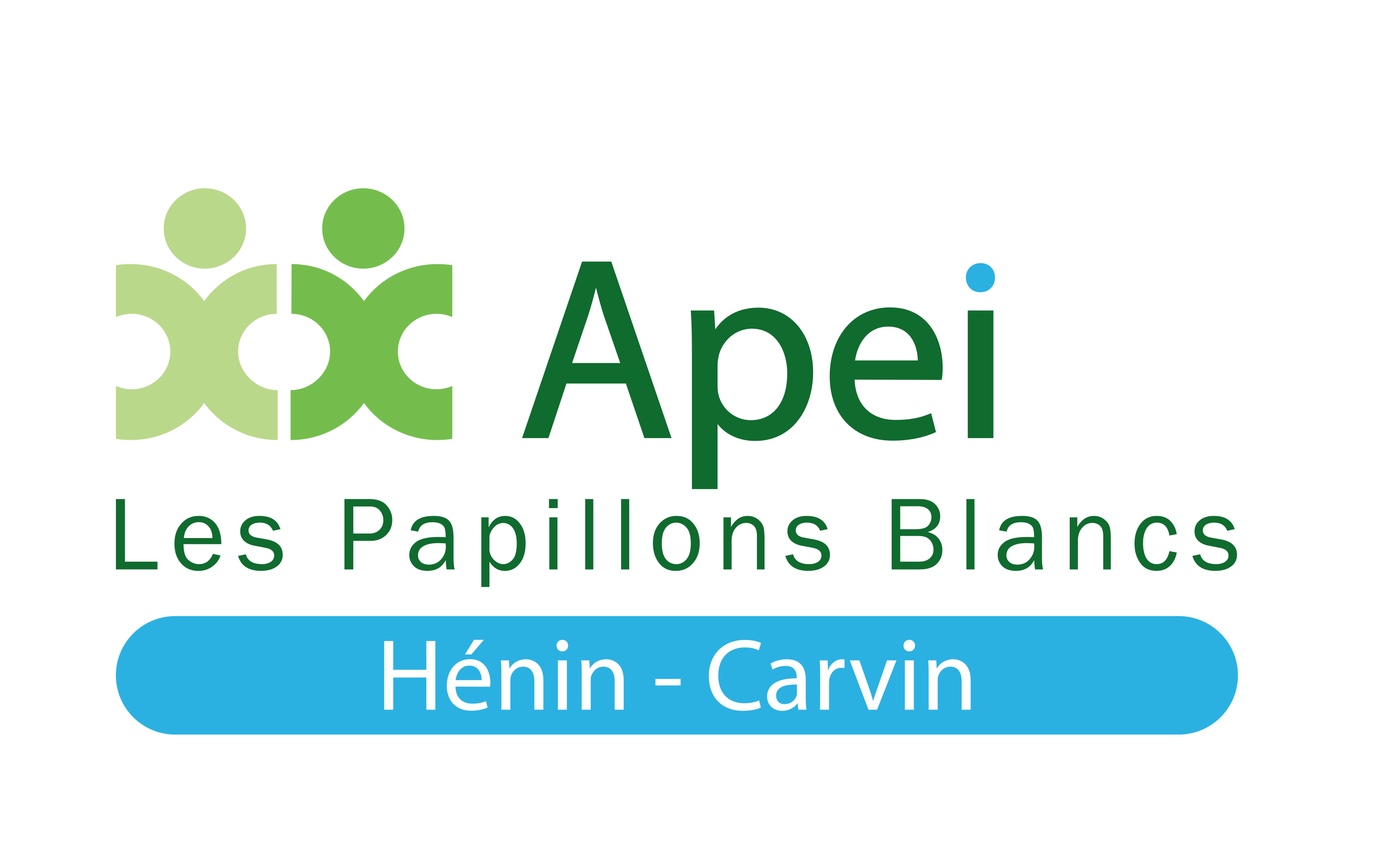 APEI HENIN CARVIN